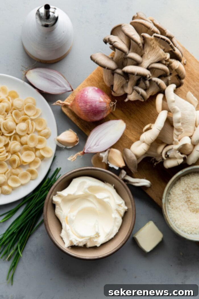 Velvety Mushroom Pasta 3 Ingredients for Creamy Mushroom Pasta