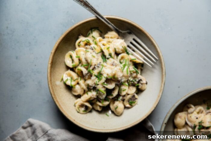 Velvety Mushroom Pasta 6 Creamy Mushroom Pasta in a serving bowl