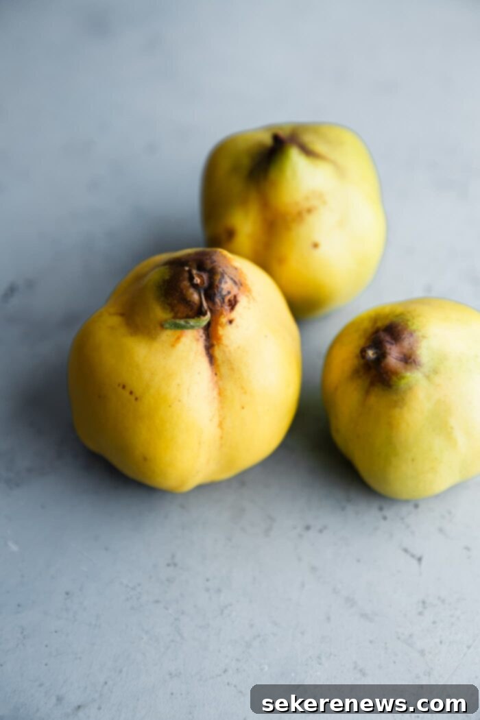 Golden Poached Quince 3 Quince Fruit