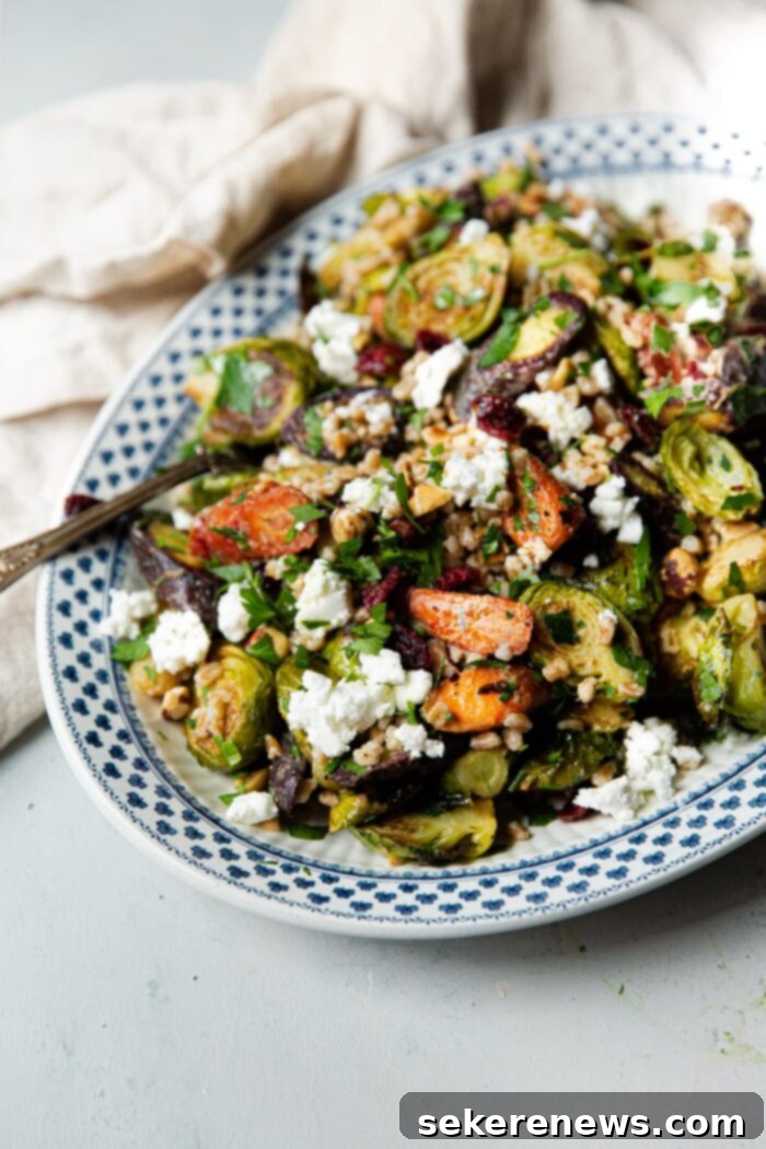 Hearty Autumn Farro Salad 2 Vibrant Fall Farro Salad served in a large bowl, showcasing its colorful ingredients like farro, roasted vegetables, cranberries, and feta.