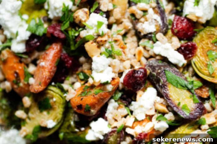 Hearty Autumn Farro Salad 12 Fall Farro Salad with a light drizzle of dressing, showcasing its rich textures and colors.