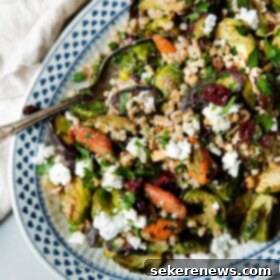 Hearty Autumn Farro Salad 14 Fall Farro Salad on Platter