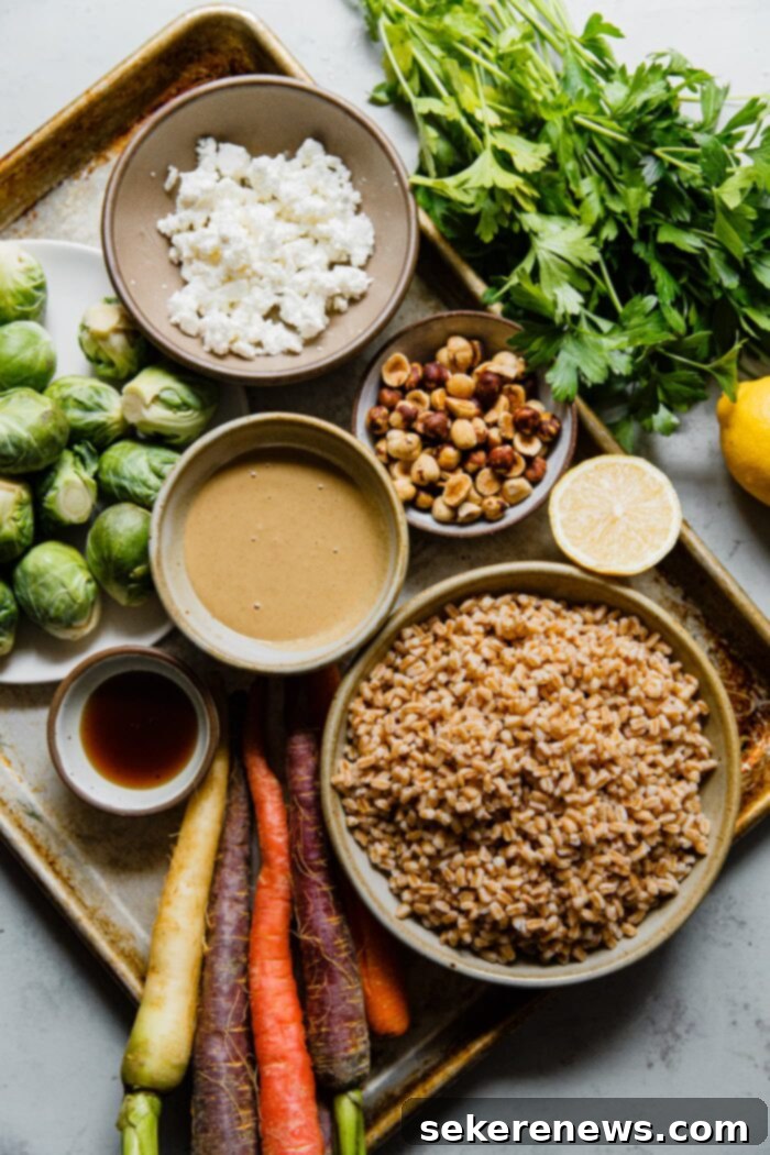 Hearty Autumn Farro Salad 4 A colorful array of ingredients for Fall Farro Salad, including uncooked farro, fresh parsley, dried cranberries, feta, and tahini dressing components.