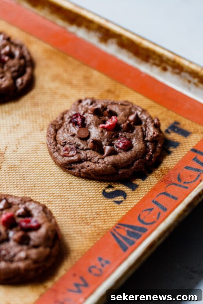 Decadent Chewy Chocolate Cranberry Cookies 3 Baked Chewy Chocolate Cranberry Cookies on a cooling rack