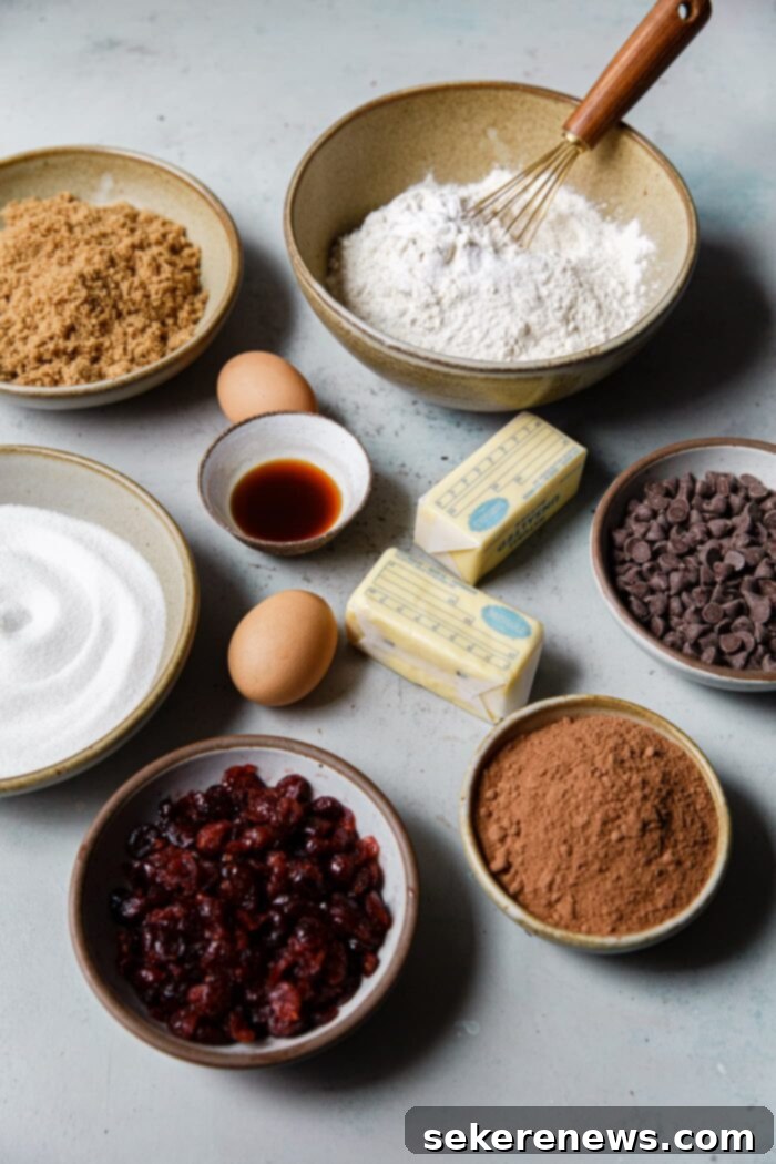 Decadent Chewy Chocolate Cranberry Cookies 4 Assortment of Chewy Chocolate Cookie Ingredients