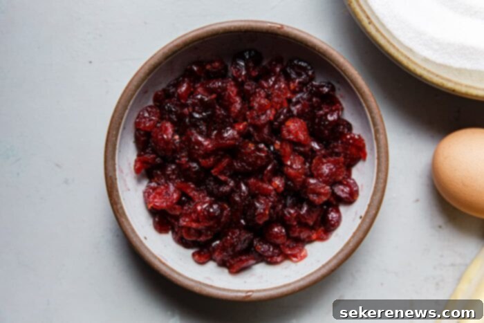 Decadent Chewy Chocolate Cranberry Cookies 7 Soaked and Rehydrated Cranberries for Cookies