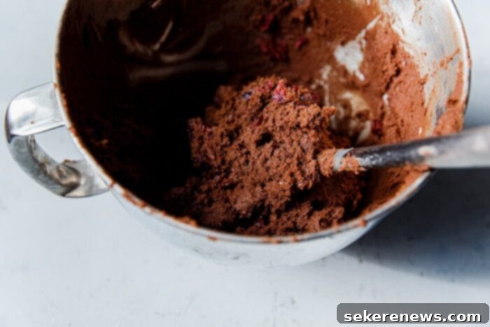 Decadent Chewy Chocolate Cranberry Cookies 8 Chewy Chocolate Cookie Dough in Bowl
