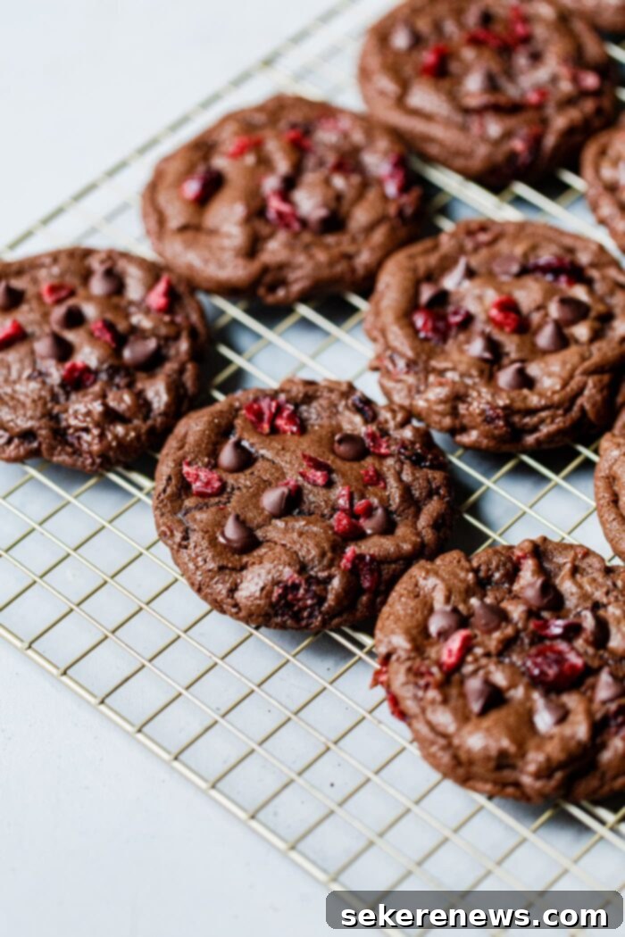 Decadent Chewy Chocolate Cranberry Cookies 9 Chewy Chocolate Cookies with Cranberries on a cooling rack