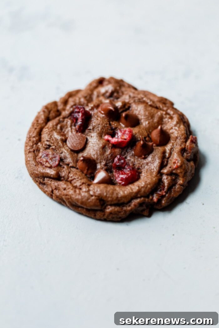 Decadent Chewy Chocolate Cranberry Cookies 10 Close-up of a Chewy Chocolate Cookie with Dried Cranberries