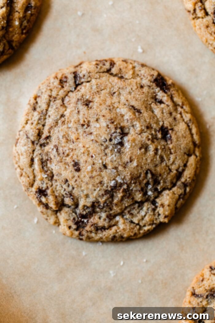 Signature Chocolate Chunk Cookies 6 Chocolate Chunk Cookies
