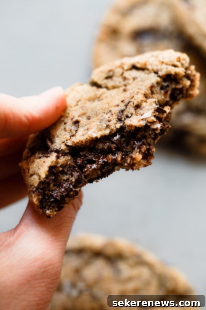 Signature Chocolate Chunk Cookies 9 Chocolate Chunk Cookie Texture