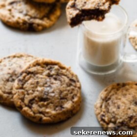 Signature Chocolate Chunk Cookies 10 Chocolate Chunk Cookies with Milk