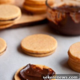 Zesty Cream Sandwich Cookies 7 Citrus Sandwich Cookies
