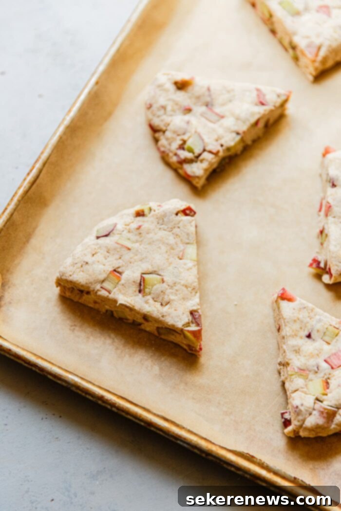 Orange Glazed Rhubarb Scones 8 Unbaked Rhubarb Scones on Baking Sheet