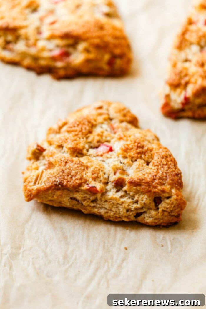 Orange Glazed Rhubarb Scones 10 Baked Rhubarb Scones on Parchment Lined Baking Sheet