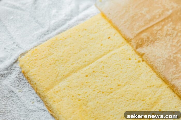Patriotic Pride Cake 7 Sheet pan with baked sponge cake, ready to be cooled.