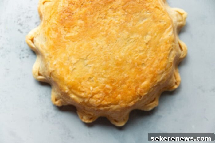 The Ultimate Flaky Quiche Pastry 3 Golden Brown Blind Baked Quiche Crust Ready for Filling