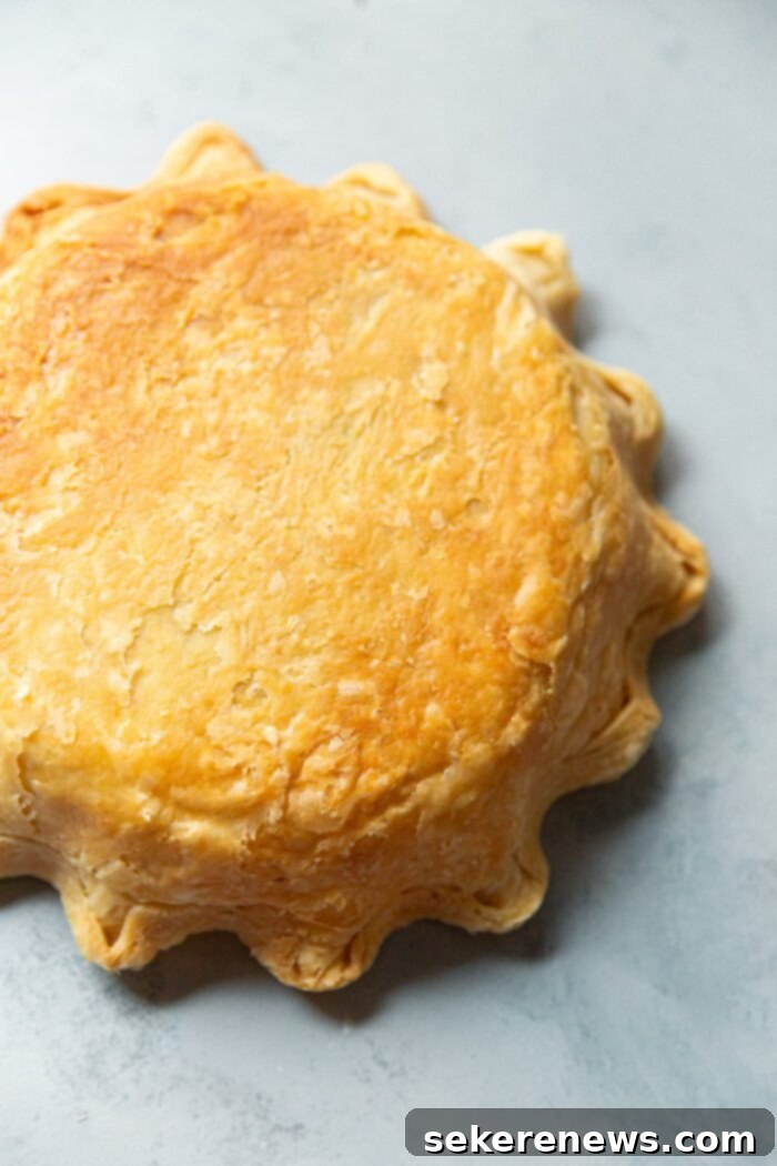 The Ultimate Flaky Quiche Pastry 9 Perfectly Blind Baked Quiche Crust, Golden and Flaky
