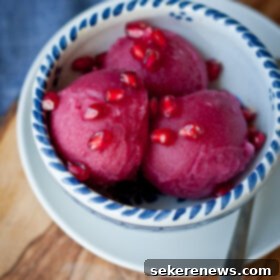 Zingy Pomegranate Ginger Sorbet 6 Pomegranate Ginger Sorbet