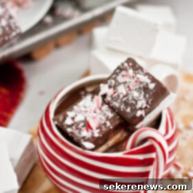 Chocolate Coated Peppermint Mallows 6 Chocolate Dipped Peppermint Marshmallows