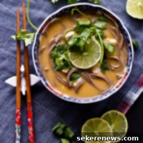 Creamy Thai Coconut Chicken Noodles 7 Thai Coconut Chicken Noodle Soup