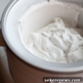 Coconut Lemongrass Vanilla Bliss 7 Vanilla Coconut Lemongrass Ice Cream