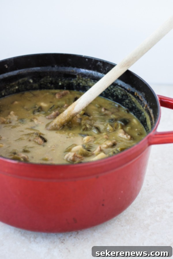 Spicy Pork Verde 4 Green Pork Chili simmering in a Dutch Oven