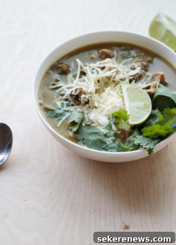 Spicy Pork Verde 6 Green Pork Chili garnished with toppings