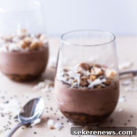 Exotic Black Sesame Macadamia Chocolate Sundaes 8 Chocolate Sundaes with Black Sesame and Macadamia Nut Caramel