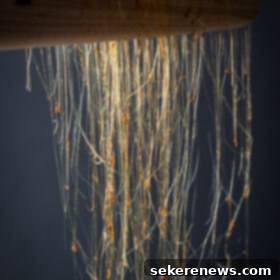 The Art of Sugar Spinning 3 Delicate spun sugar nests, perfect for elegant dessert garnishes