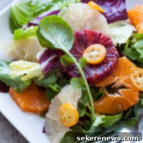 Bright Citrus Peppery Greens Salad 2 Citrus Salad with Bitter Greens | bloggingoverthyme.com